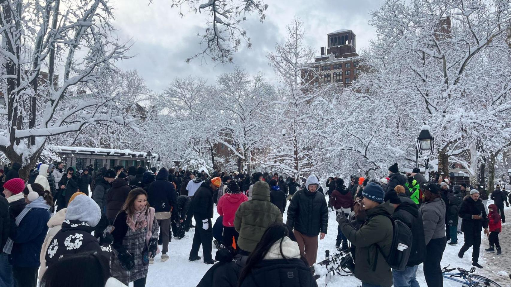 Cientos de personas participan en una batalla con bolas de nieve este lunes, en el Washington Square Park en Nueva York.