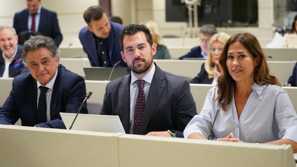 Los senadores del PP Raúl Valero, Rosa Romero y Leopoldo Sierra.