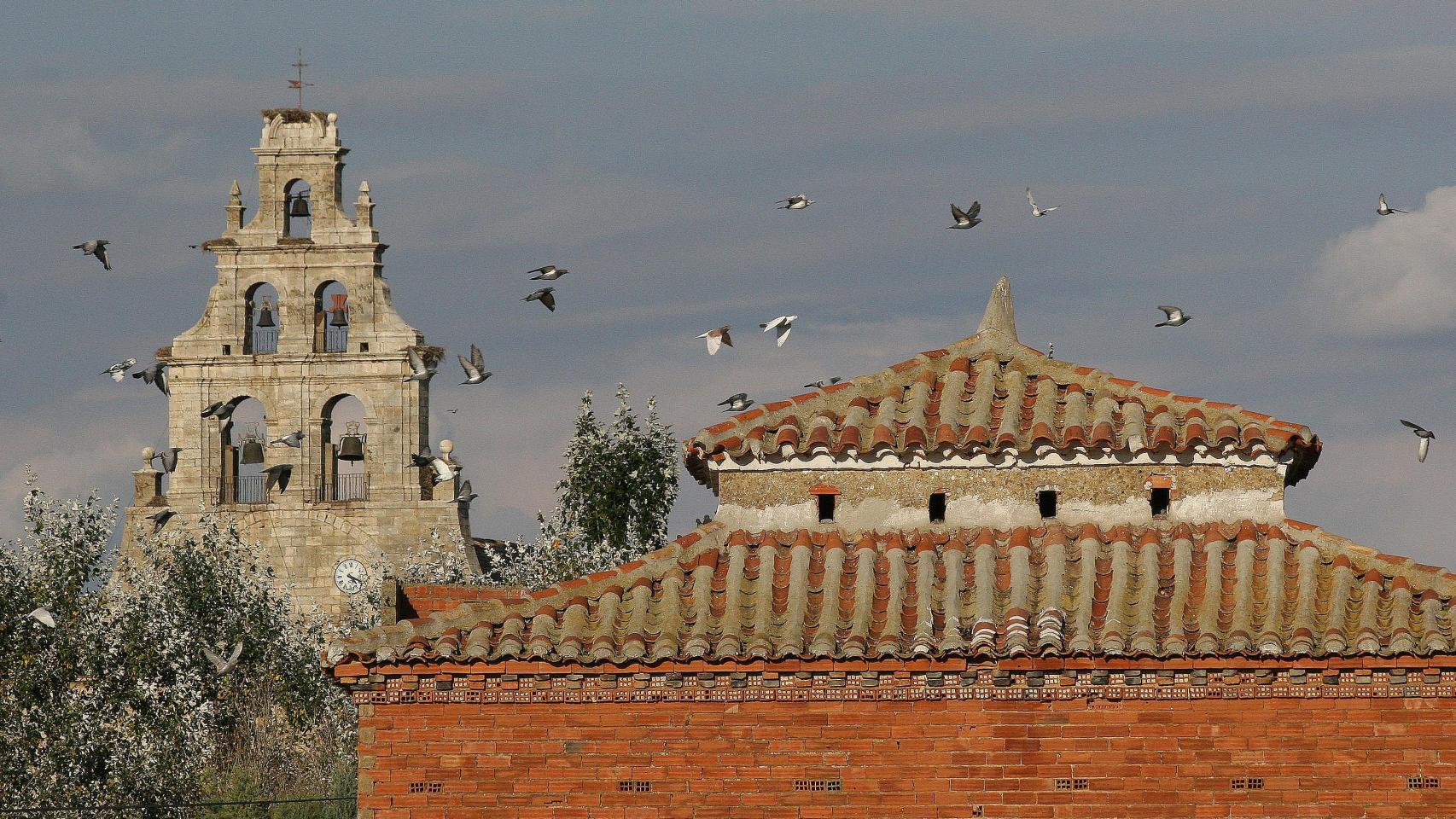 Imagen de un palomar en uso en Amusco (Palencia)