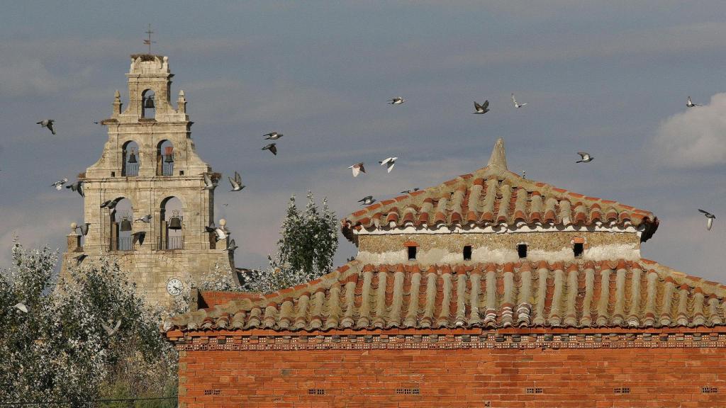 Imagen de un palomar en uso en Amusco (Palencia)