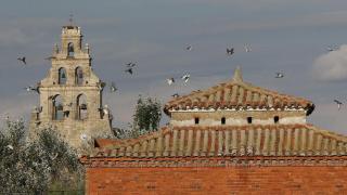 Imagen de un palomar en uso en Amusco (Palencia)