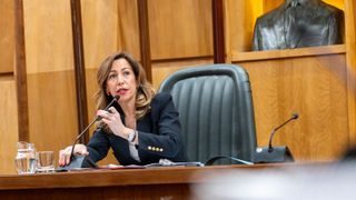 Natalia Chueca, este jueves en el pleno del Ayuntamiento de Zaragoza.