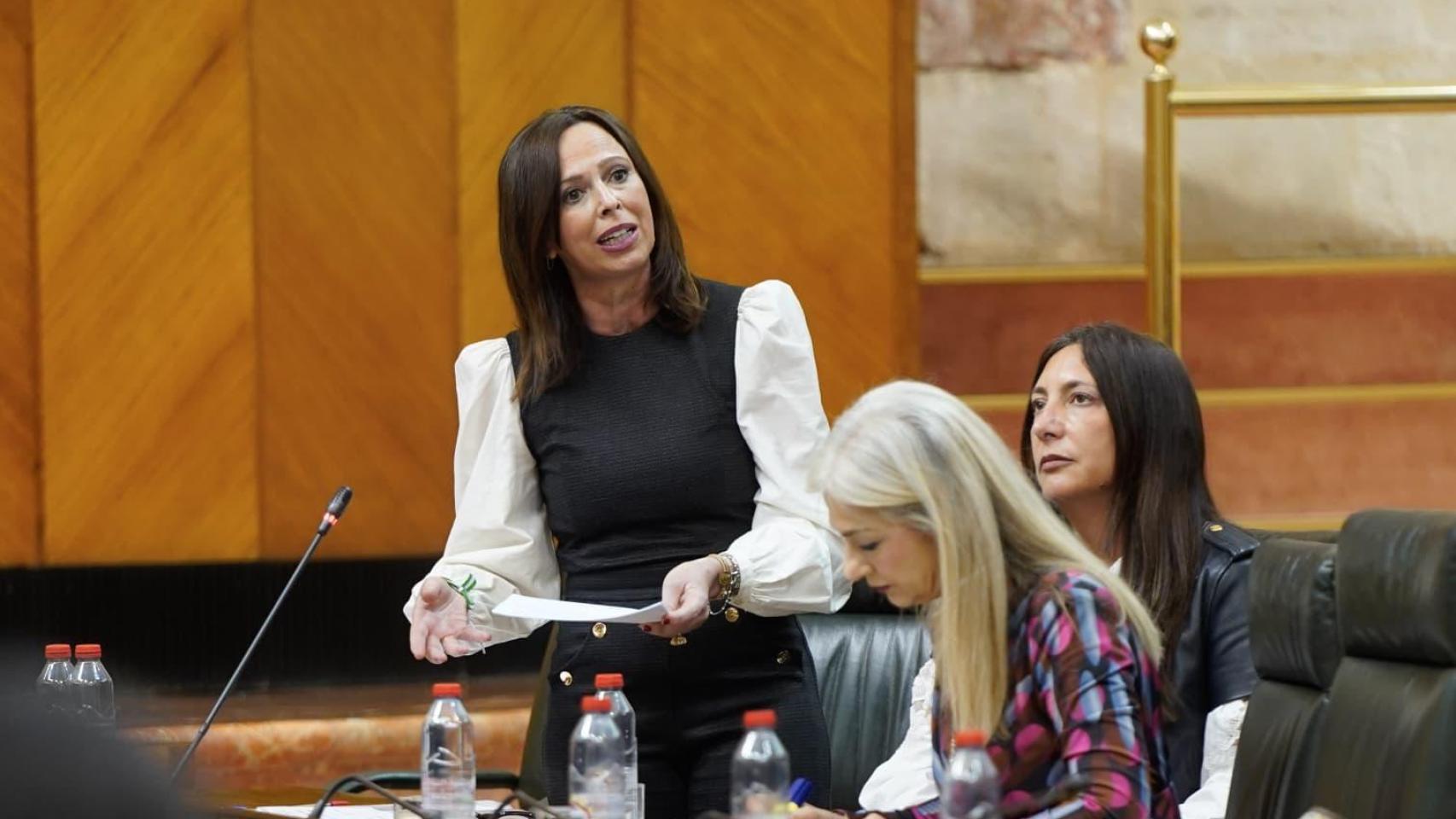 Intervención de la consejera de Fomento, Rocío Díaz, en el Parlamento Andaluz este jueves.