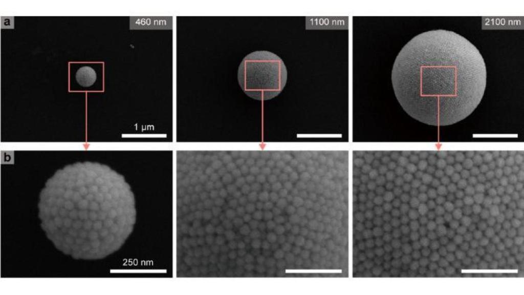 Escala del tamaño de la nanoesfera de partículas de oro
