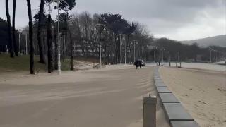 La sedimentación del paseo de Samil.