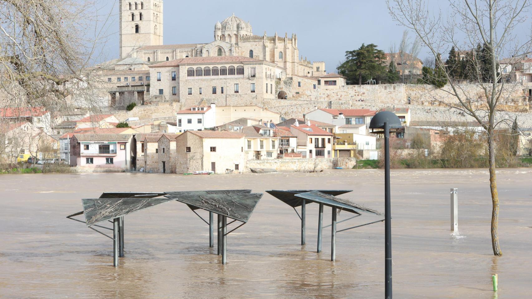 Crecida del Río Duero en Zamora el pasado 17 de febrero.