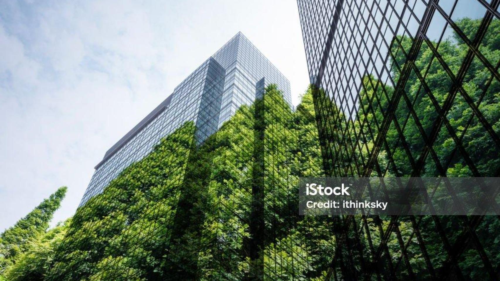 istockphoto-2189894137-1024x1024