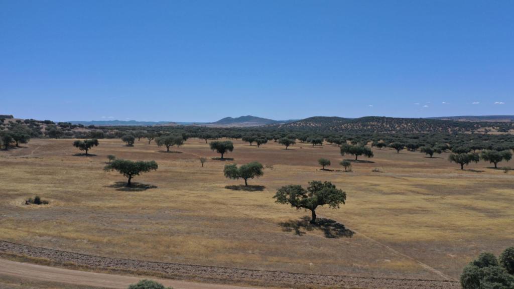 Area que se abriría con el proyecto Oropesa.