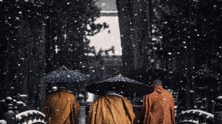 Monjes budistas en Koyasan.