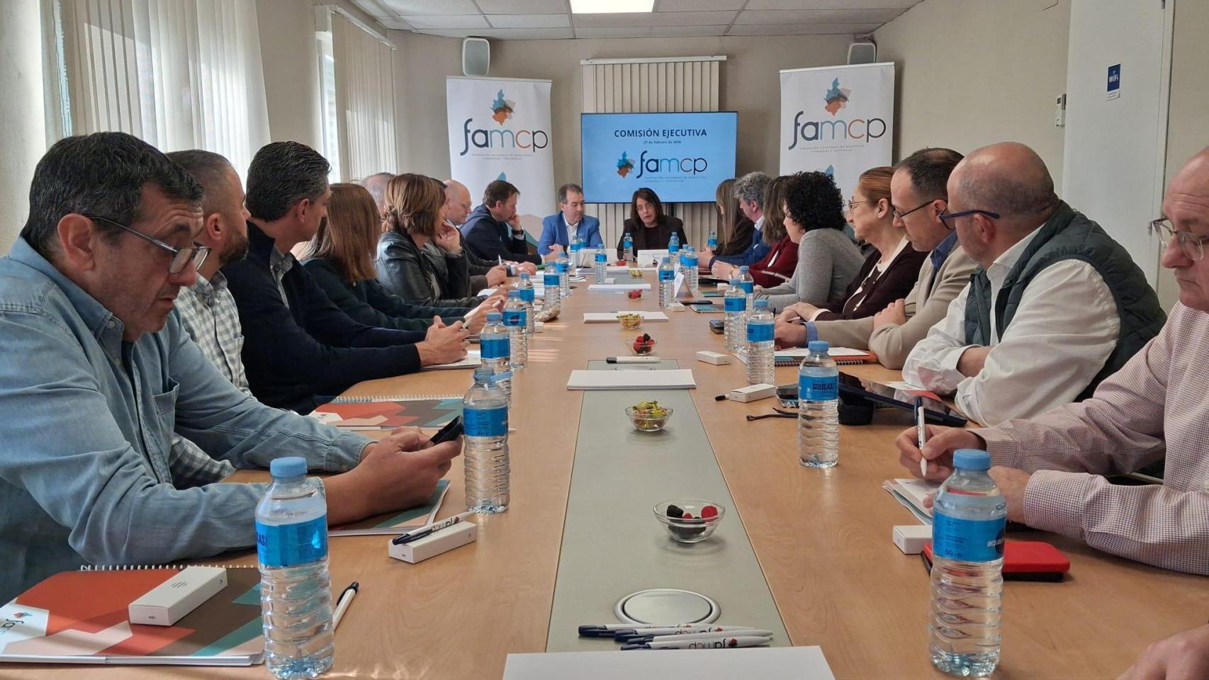 Comisión ejecutiva de la FAMCP