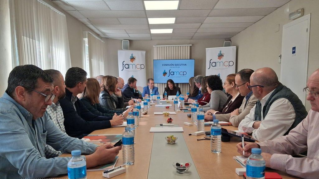 Comisión ejecutiva de la FAMCP