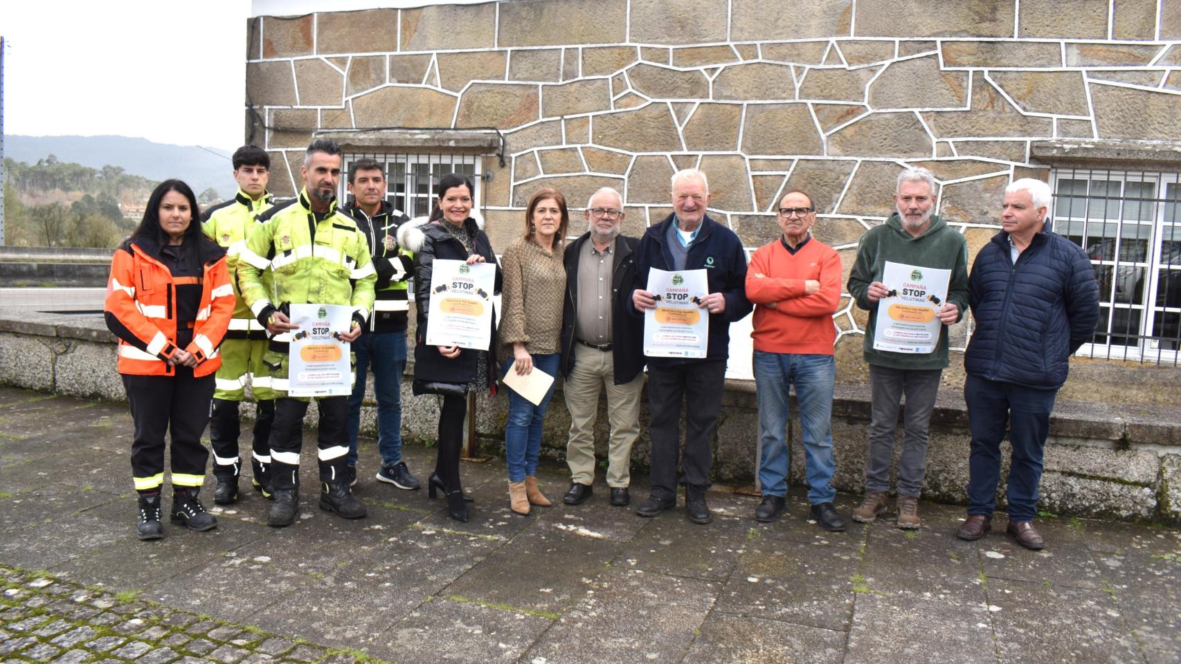 Mos (Pontevedra) contará con una aplicación para la detección y control de la avispa velutina