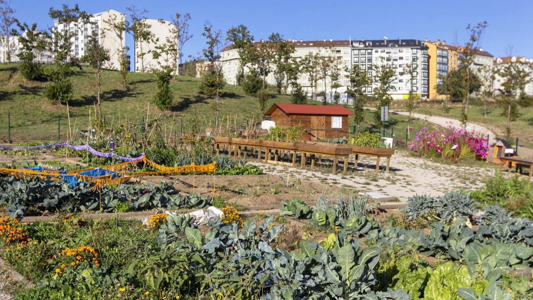 Huerta urbana de A Coruña.