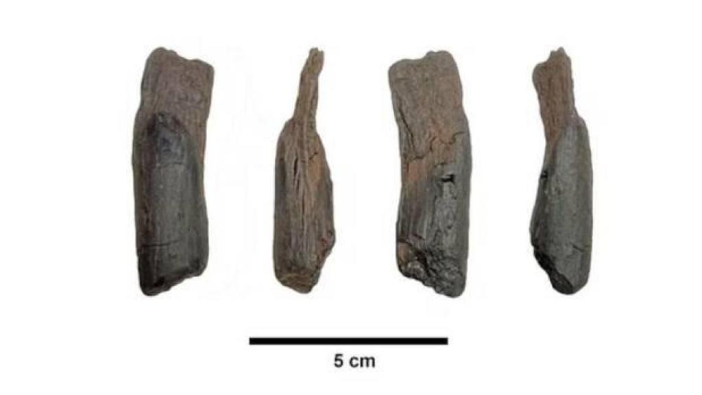 Las herramientas de madera portátiles más antiguas del mundo.