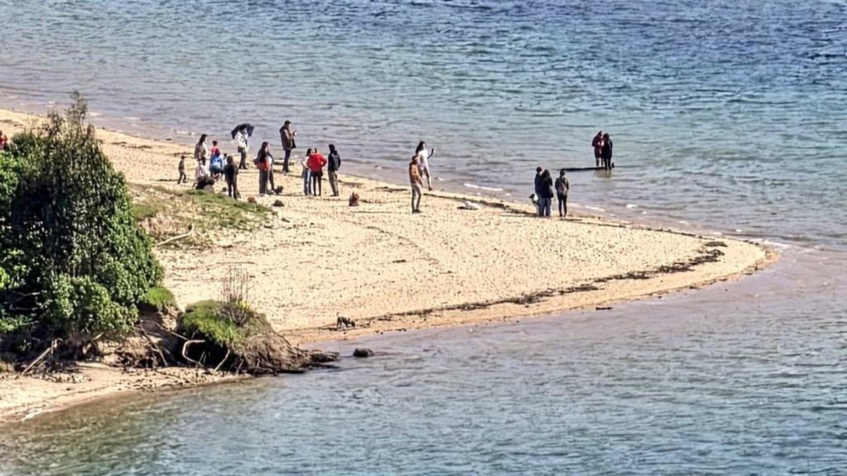 Una cría de ballena blanca varada en la playa de Santa Cristina de Oleiros (A Coruña)