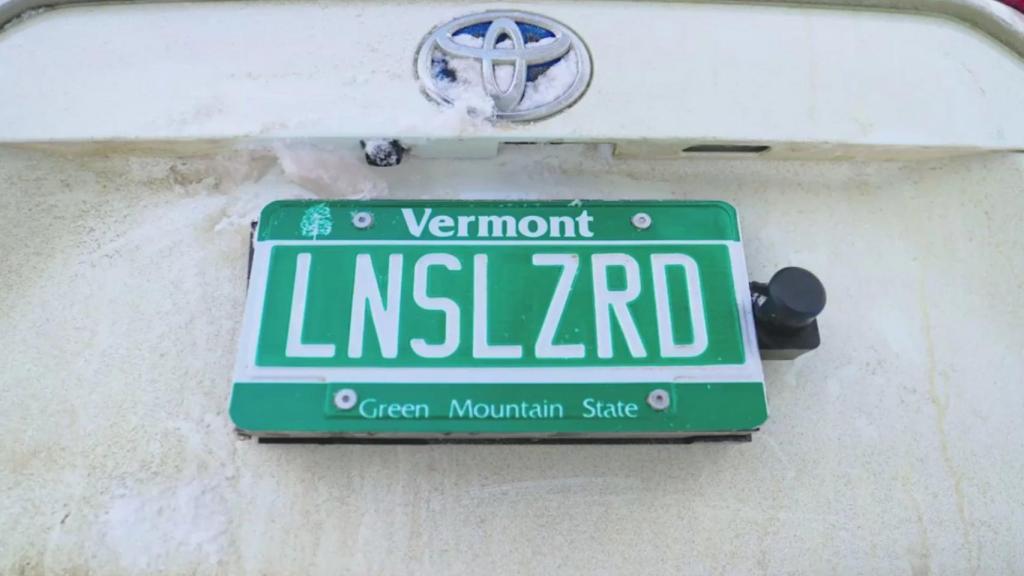 Lens Lizard