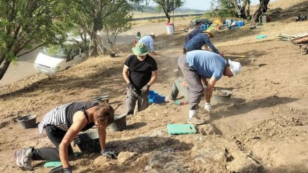 Excavación vaccea.