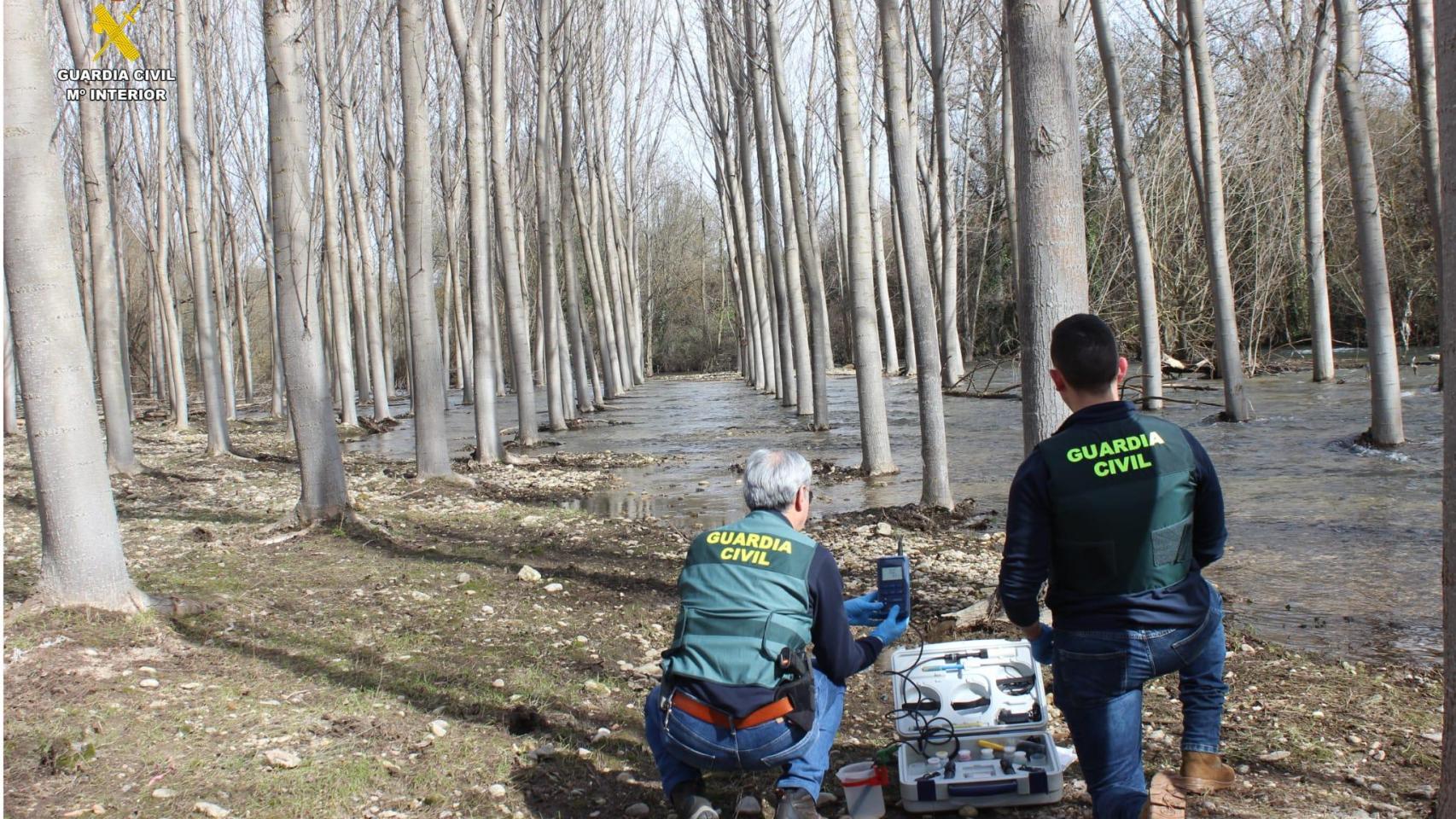 La Operación Ammonium revela daños graves al entorno tras detectarse aguas residuales industriales que superaban ampliamente los límites permitidos.