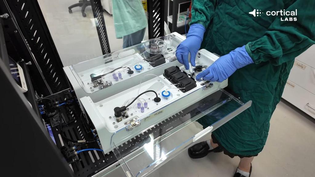 Part of the human cell system.