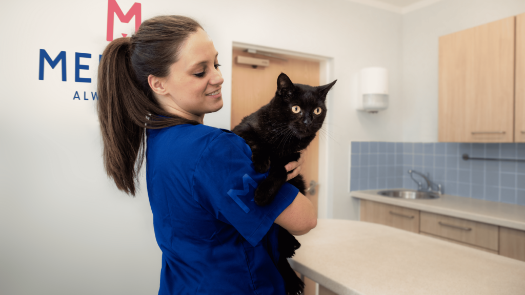 Una veterinaria con un gato negro.