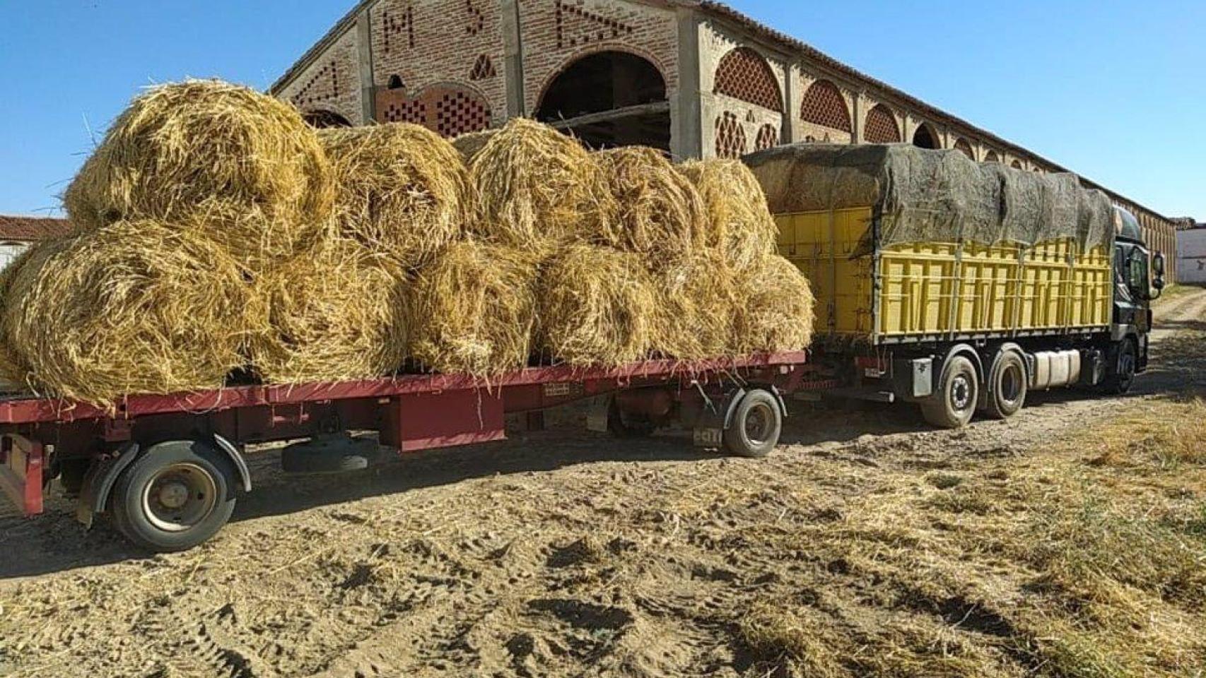 Muere un joven de 27 años aplastado por dos pacas de paja de 200 kilos en un pequeño pueblo de Guadalajara