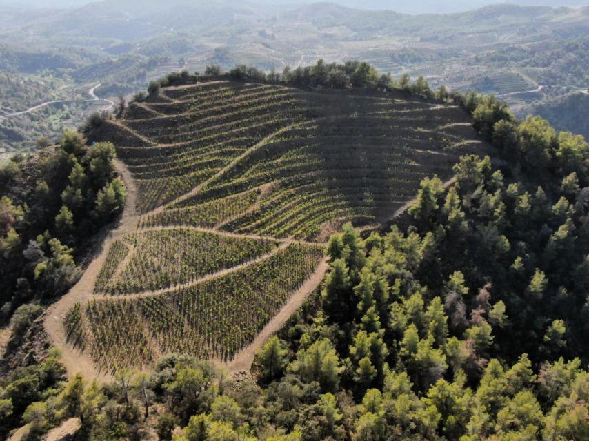 Adrets del Priorat
