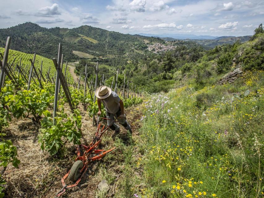 Adrets del Priorat