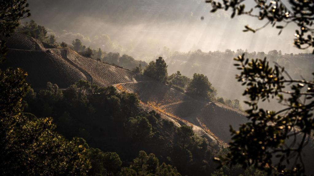 Jean Blondrade en Priorat