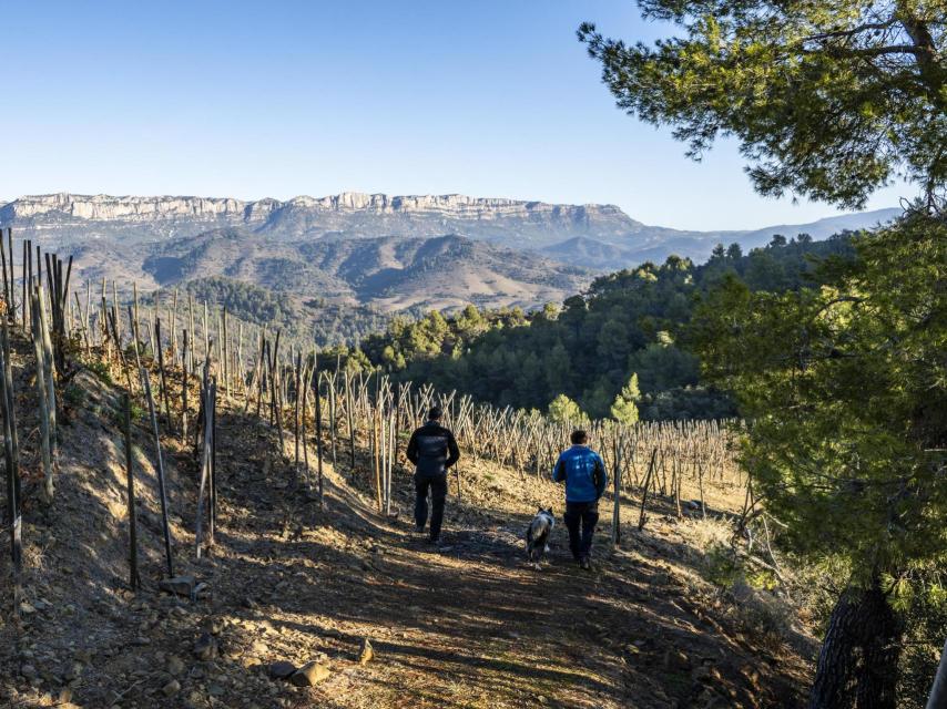 Adrets del Priorat