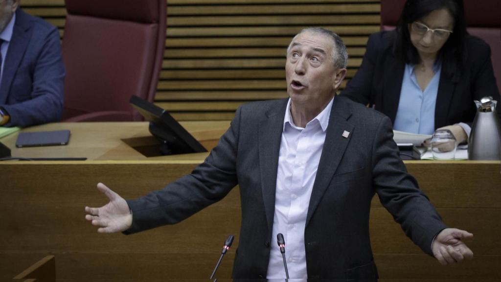 Joan Baldoví. José Cuéllar / Corts