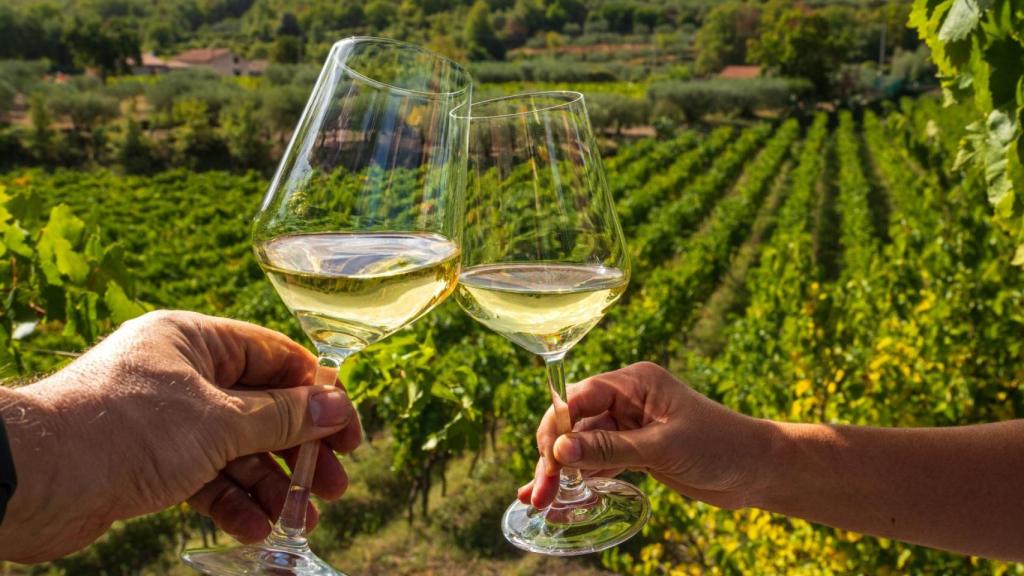 Una pareja disfruta de una copa de vino blanco