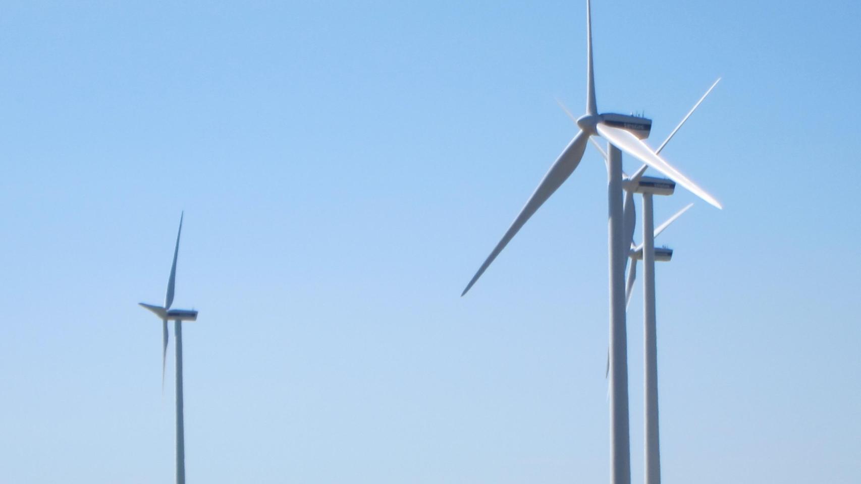 Parque de energía eólica.