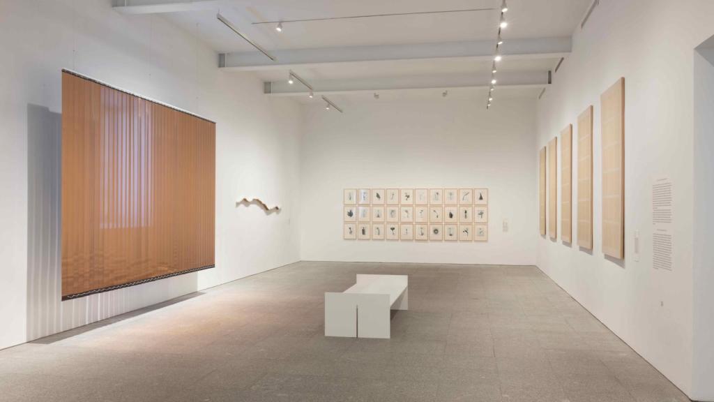 a look at the new reorganization of the collection with works by Dora García, Perejaume, Joan Fontcuberta and Ignasi Aballí