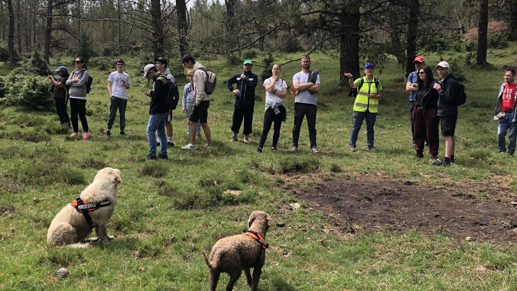 Seis de las rutas van a contar con la participación de perros de terapia