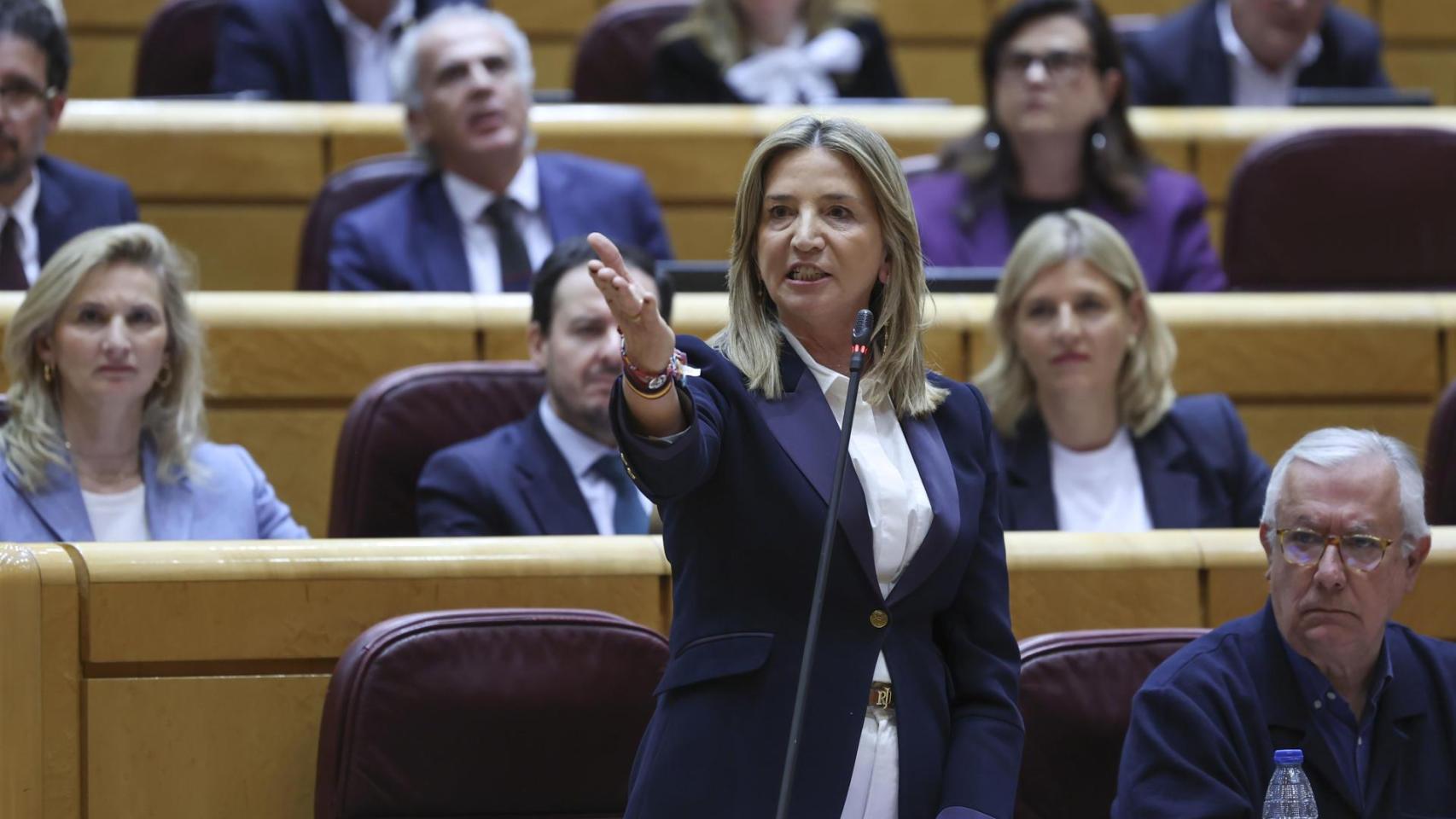 La portavoz del PP  en el Senado, Alicia García, este martes.