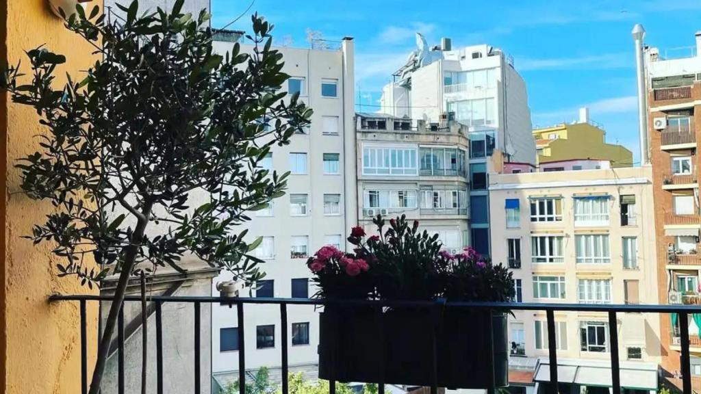 El balcón de la casa de Marc Giró