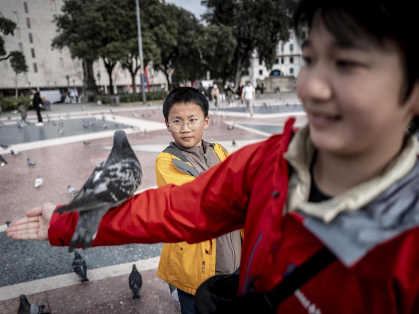 Un grupo de niños juega con palomas en plaza Catalunya, uno de esos momentos espontáneos de la ciudad. Fotografía realizada con Leica Q3.