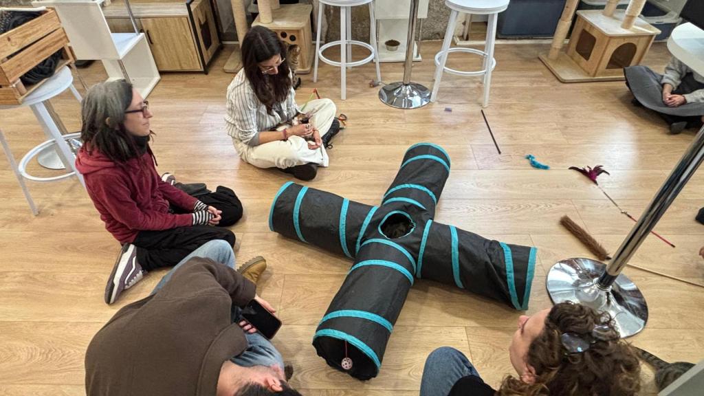 Una foto del evento sobre gatoterapia en La Gatoteca de Madrid.