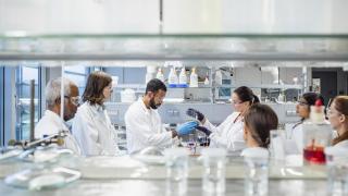 Científicos que trabajan en el laboratorio.