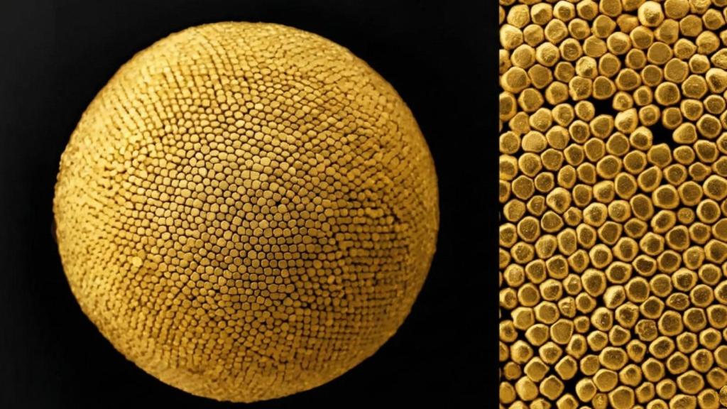 Ampliación de las nanoesferas de oro desarrolladas por investigadores surcoreanos.