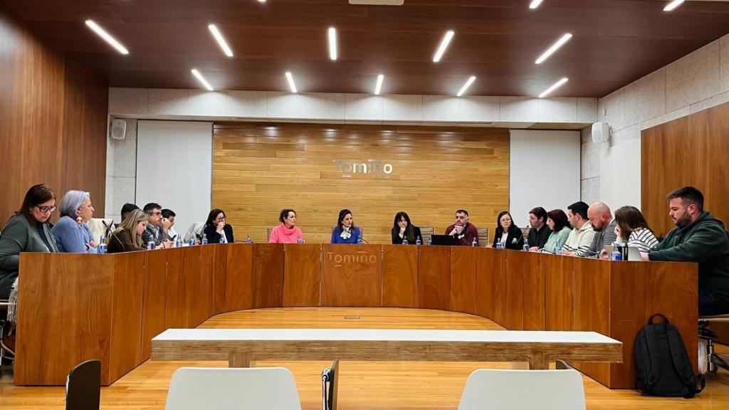 Pleno en Tomiño.