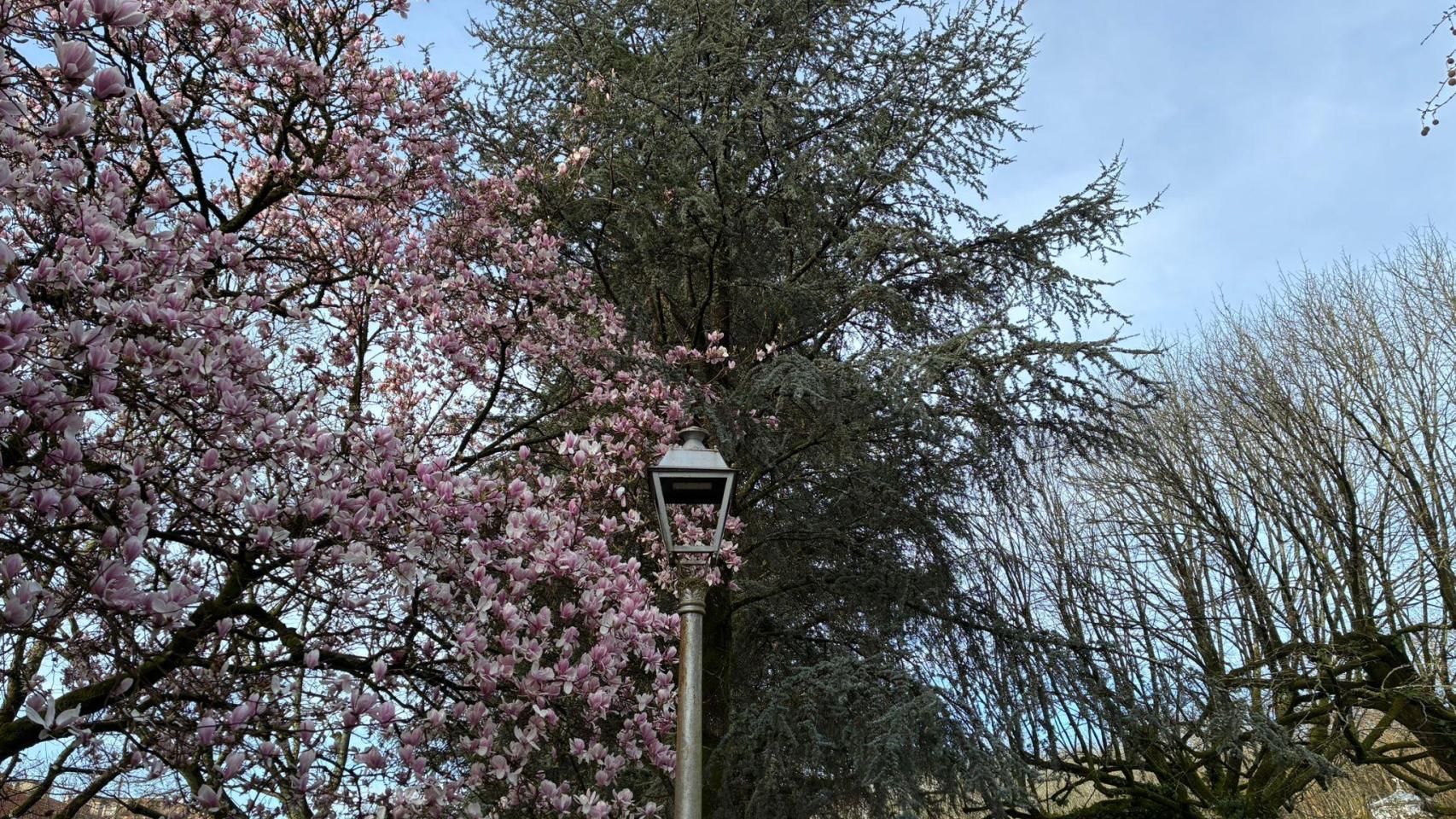 La Alameda de Santiago este primer jueves de marzo