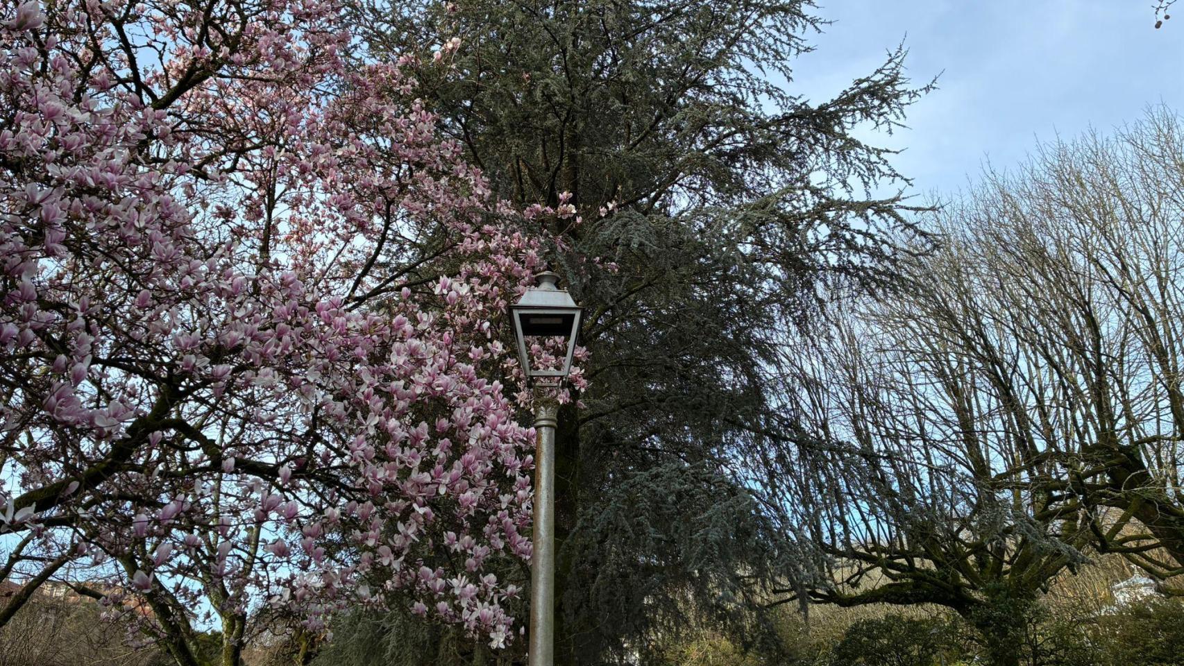 La Alameda de Santiago este primer jueves de marzo
