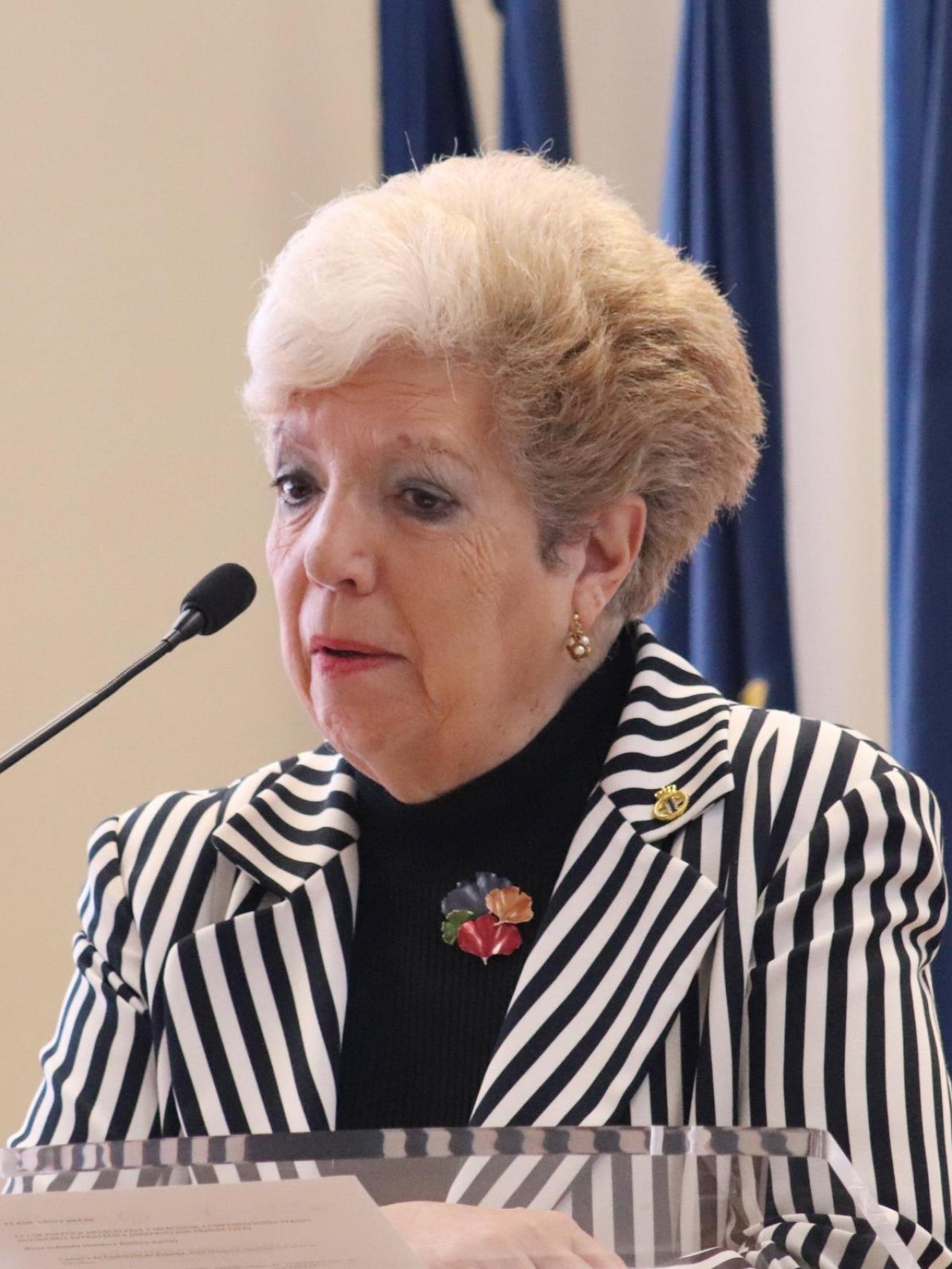 María Cruz Díaz, presidenta del Instituto de la Ingeniería de España (IIE).