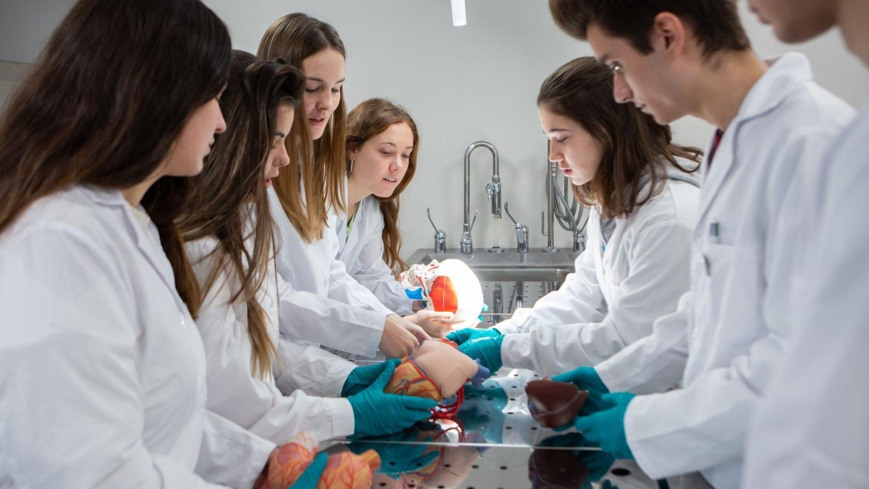 Estudiantes de Medicina de la UPNA observan modelos anatómicos en una de las mesas de tanatopraxia.