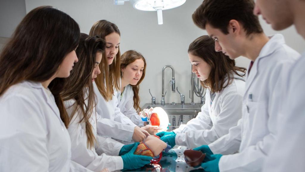 Estudiantes de Medicina de la UPNA observan modelos anatómicos en una de las mesas de tanatopraxia.