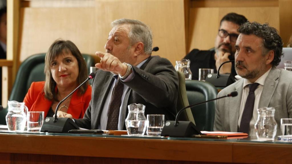Lola Ranera, en uno de los últimos plenos del Ayuntamiento de Zaragoza.
