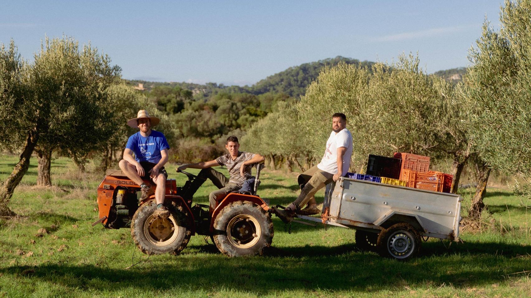 Jeroni Pau, Agustí Pau y Sebastià Rigo subidos al tractor con el que recorren su finca de Mallorca.