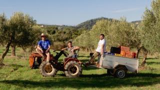Jeroni Pou, Agustí Pou y Sebastià Rigo, subidos al tractor desde el que recorren el campo.
