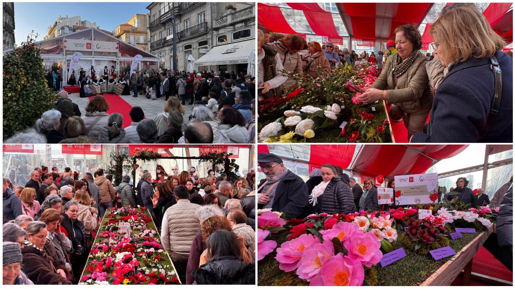 Concurso Internacional de la Camelia de Vigo